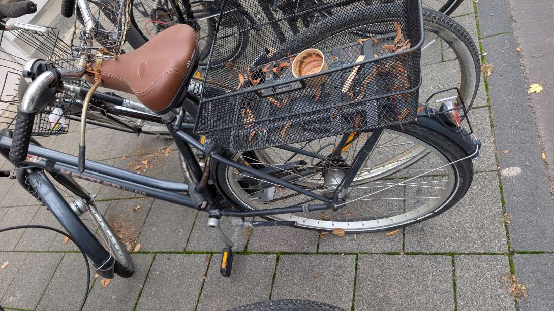 Bild zu gemeldetem Anliegen vom *2025-10-15 17:40:27