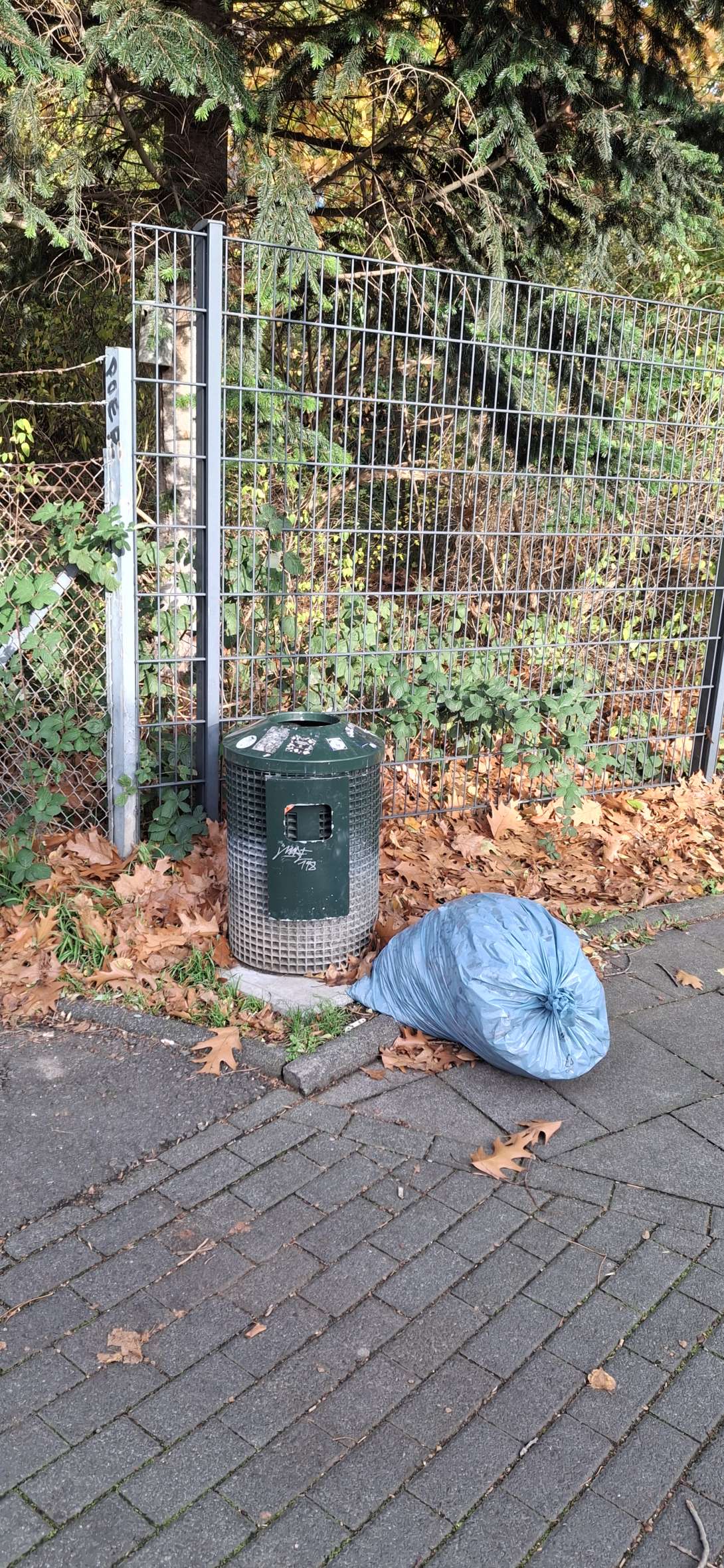 Bild zu gemeldetem Anliegen vom *2025-10-26 17:18:51