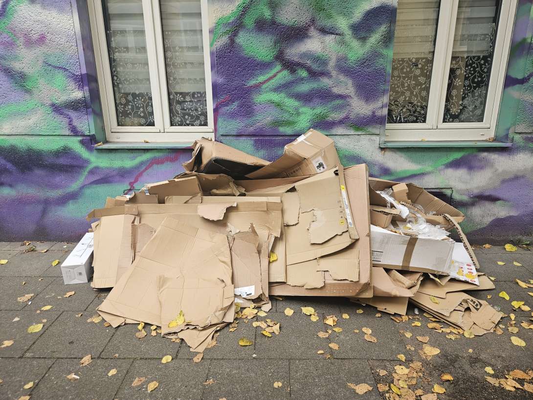 Bild zu gemeldetem Anliegen vom *2025-10-16 08:35:18