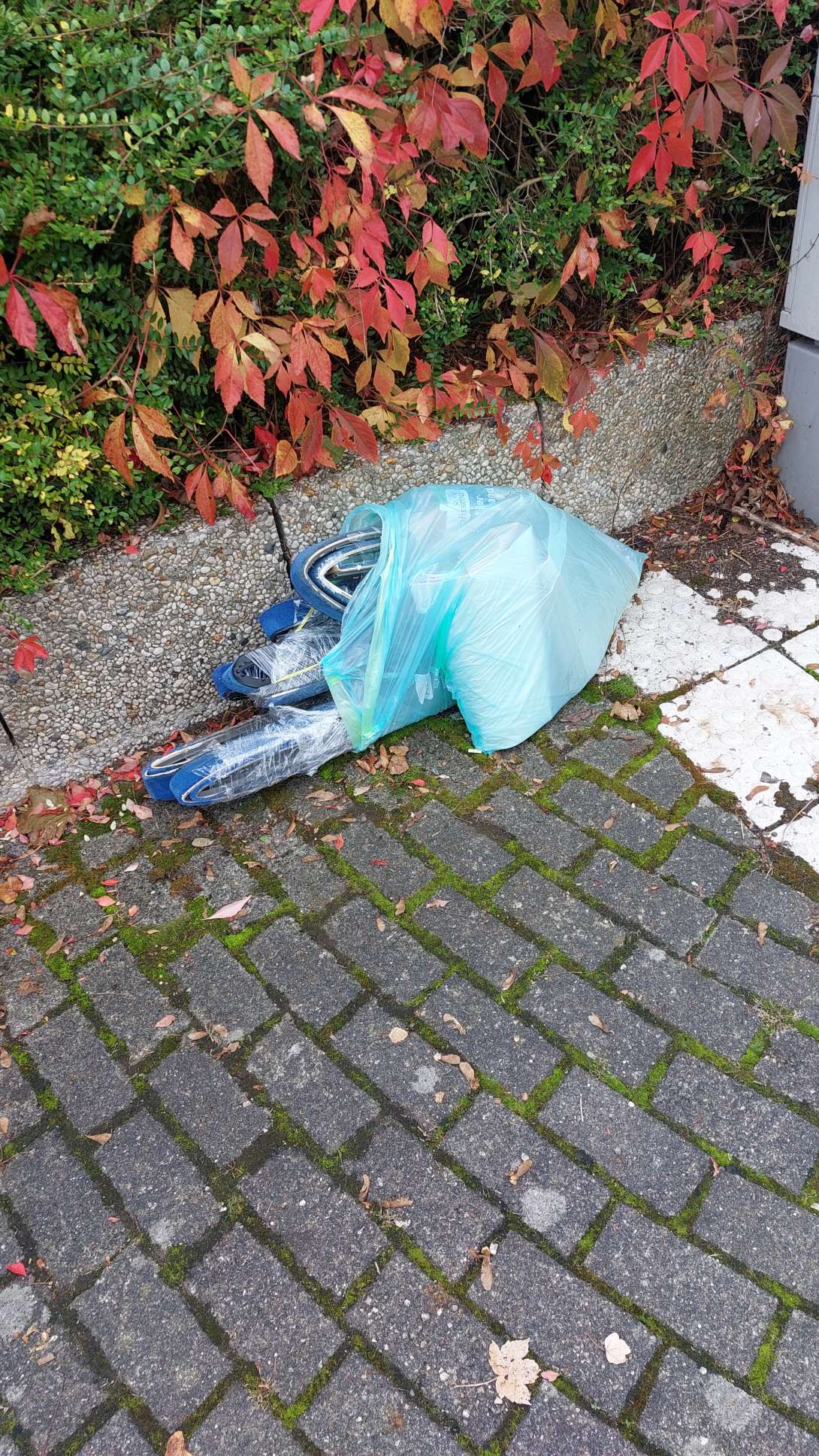 Bild zu gemeldetem Anliegen vom *2025-10-14 13:37:00