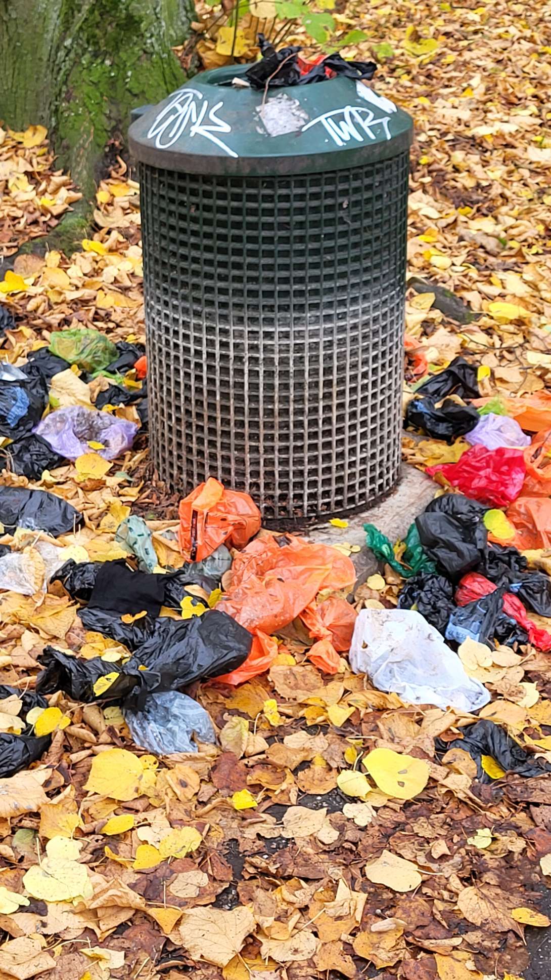 Bild zu gemeldetem Anliegen vom *2025-10-22 08:19:35