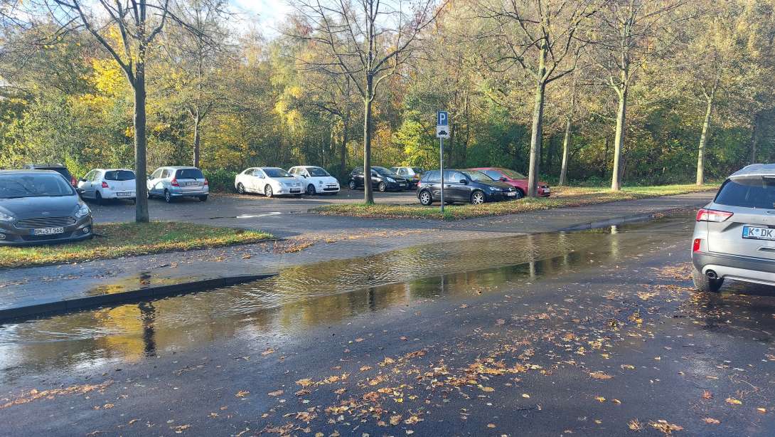 Bild zu gemeldetem Anliegen vom *2025-10-29 17:53:30