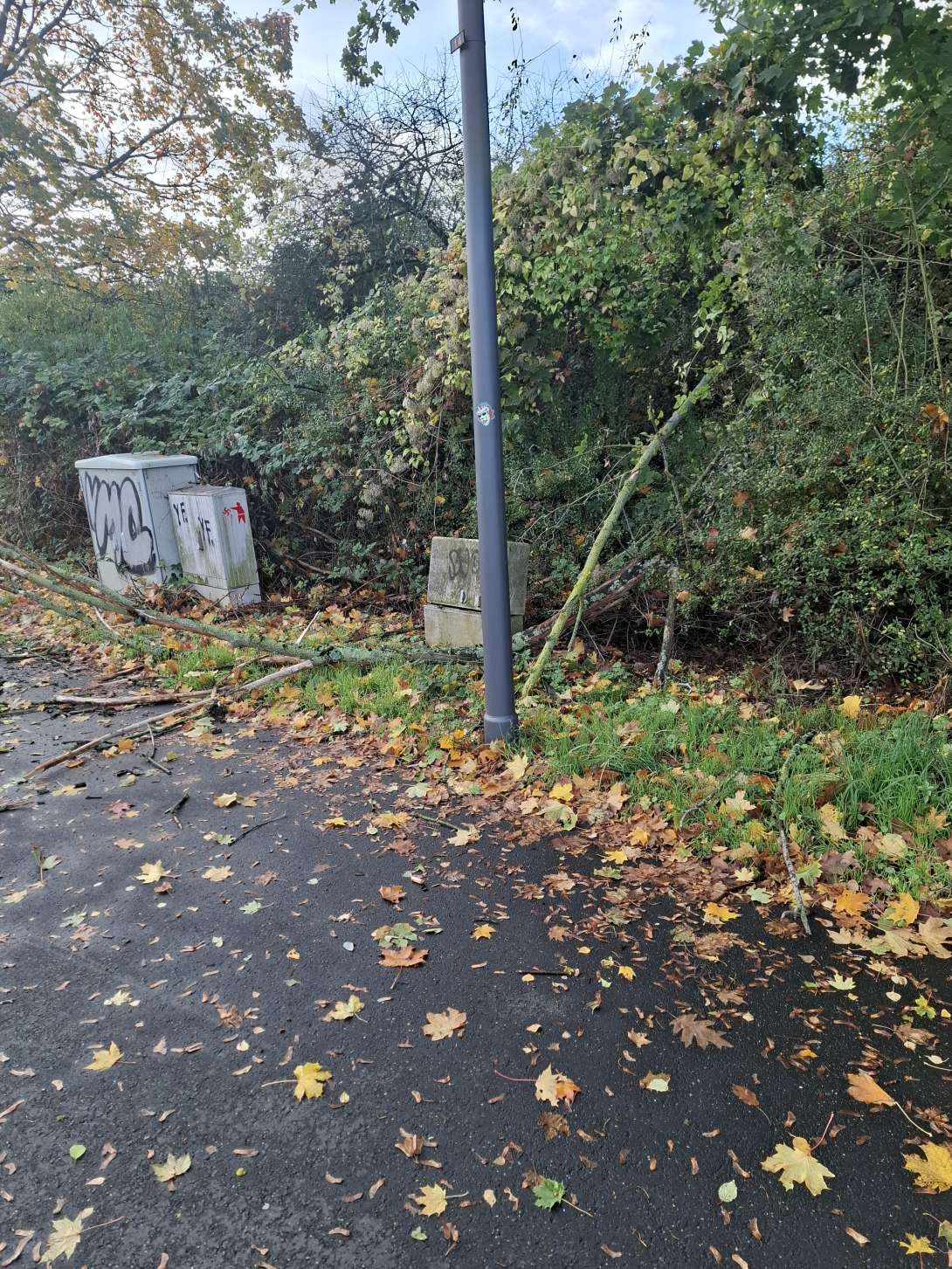 Bild zu gemeldetem Anliegen vom *2025-10-24 17:20:34