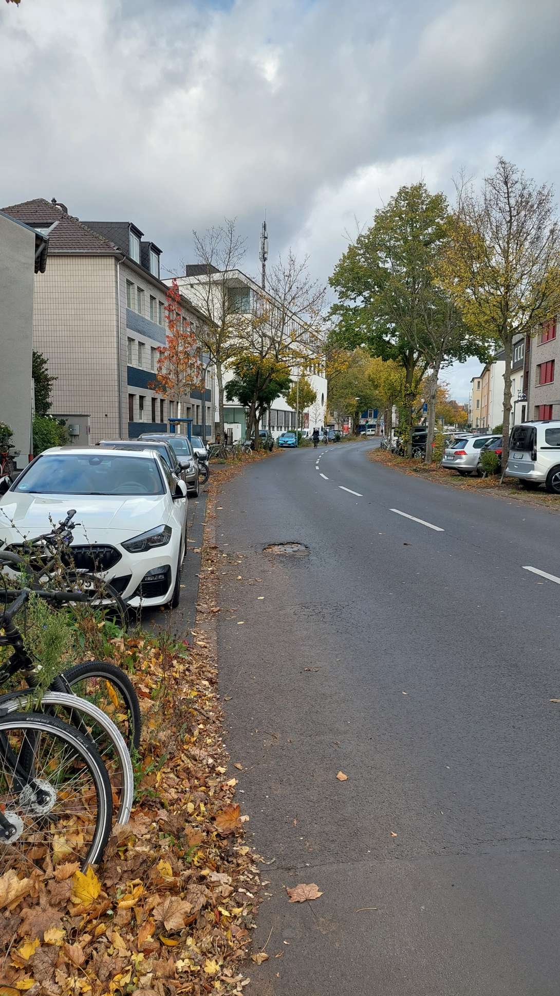 Bild zu gemeldetem Anliegen vom *2025-10-26 17:22:46