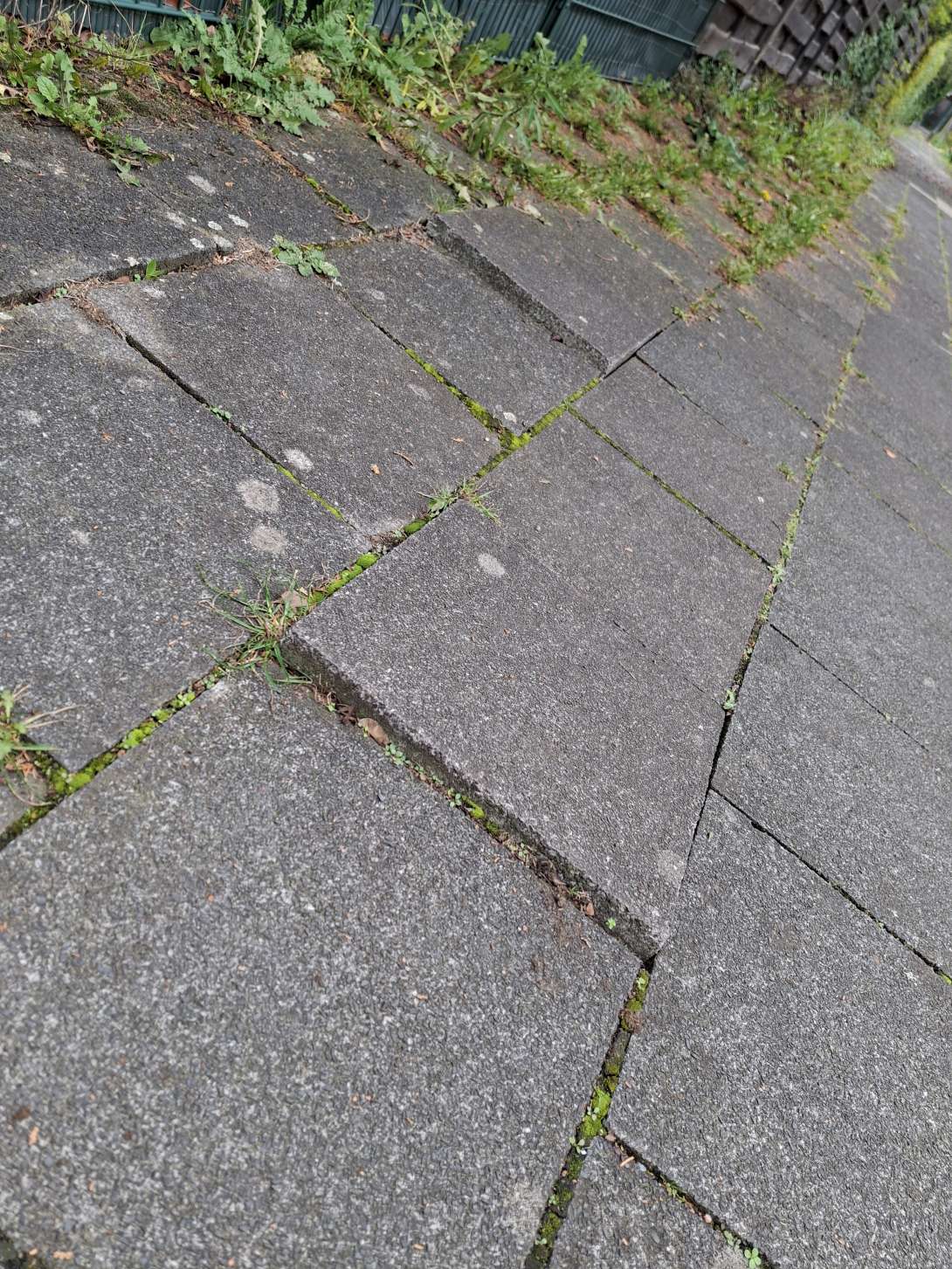 Bild zu gemeldetem Anliegen vom *2025-10-13 12:28:23