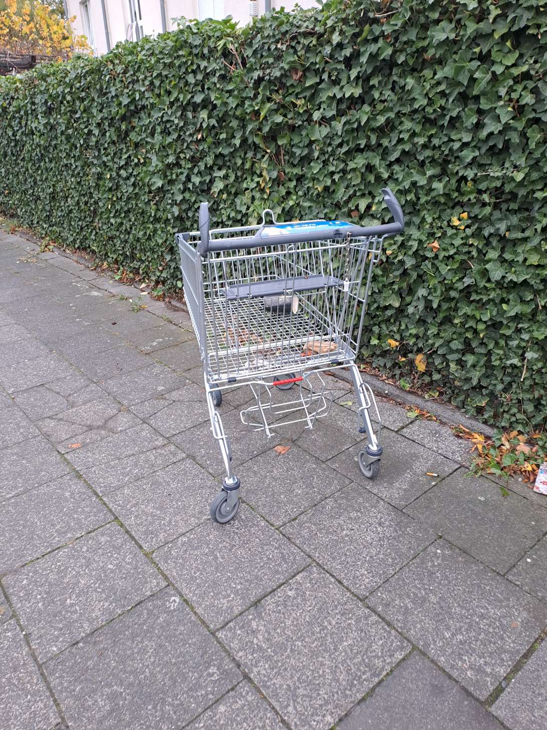 Bild zu gemeldetem Anliegen vom *2025-10-24 11:35:13