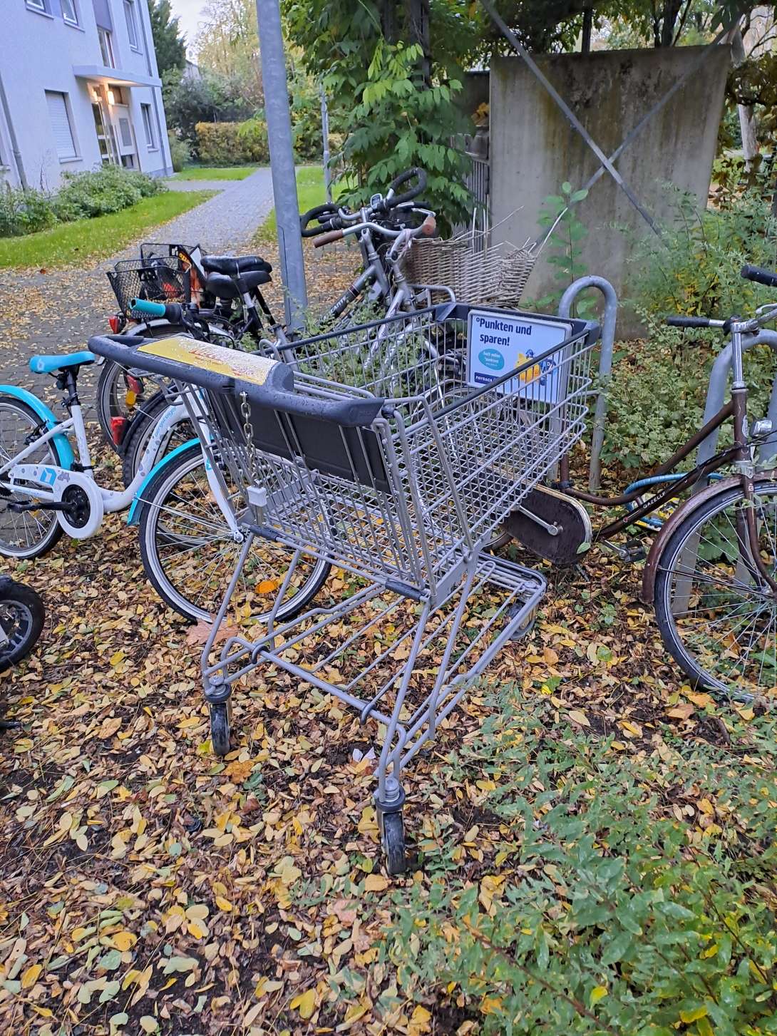 Bild zu gemeldetem Anliegen vom *2025-10-24 17:47:15