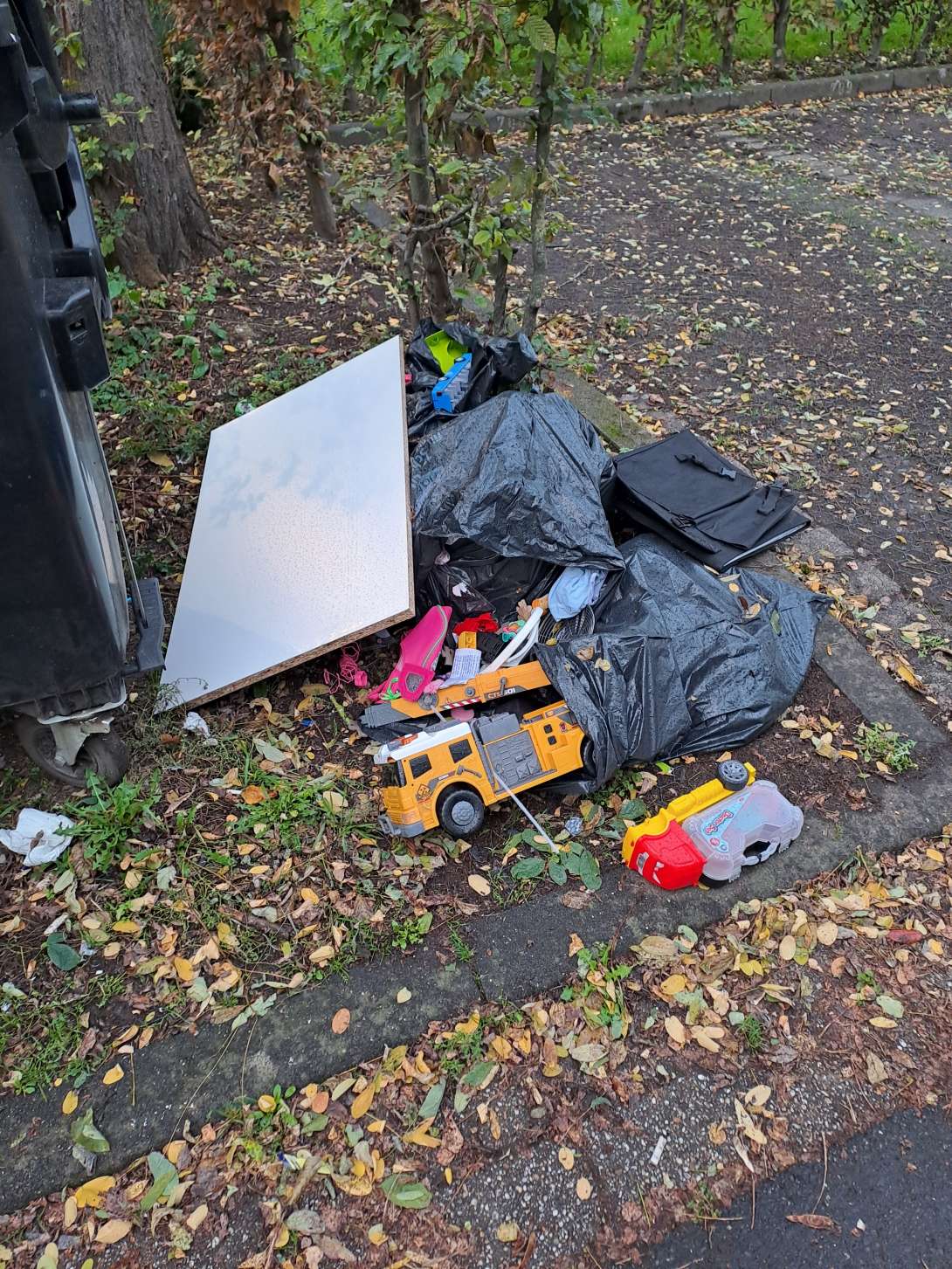 Bild zu gemeldetem Anliegen vom *2025-10-24 17:48:42