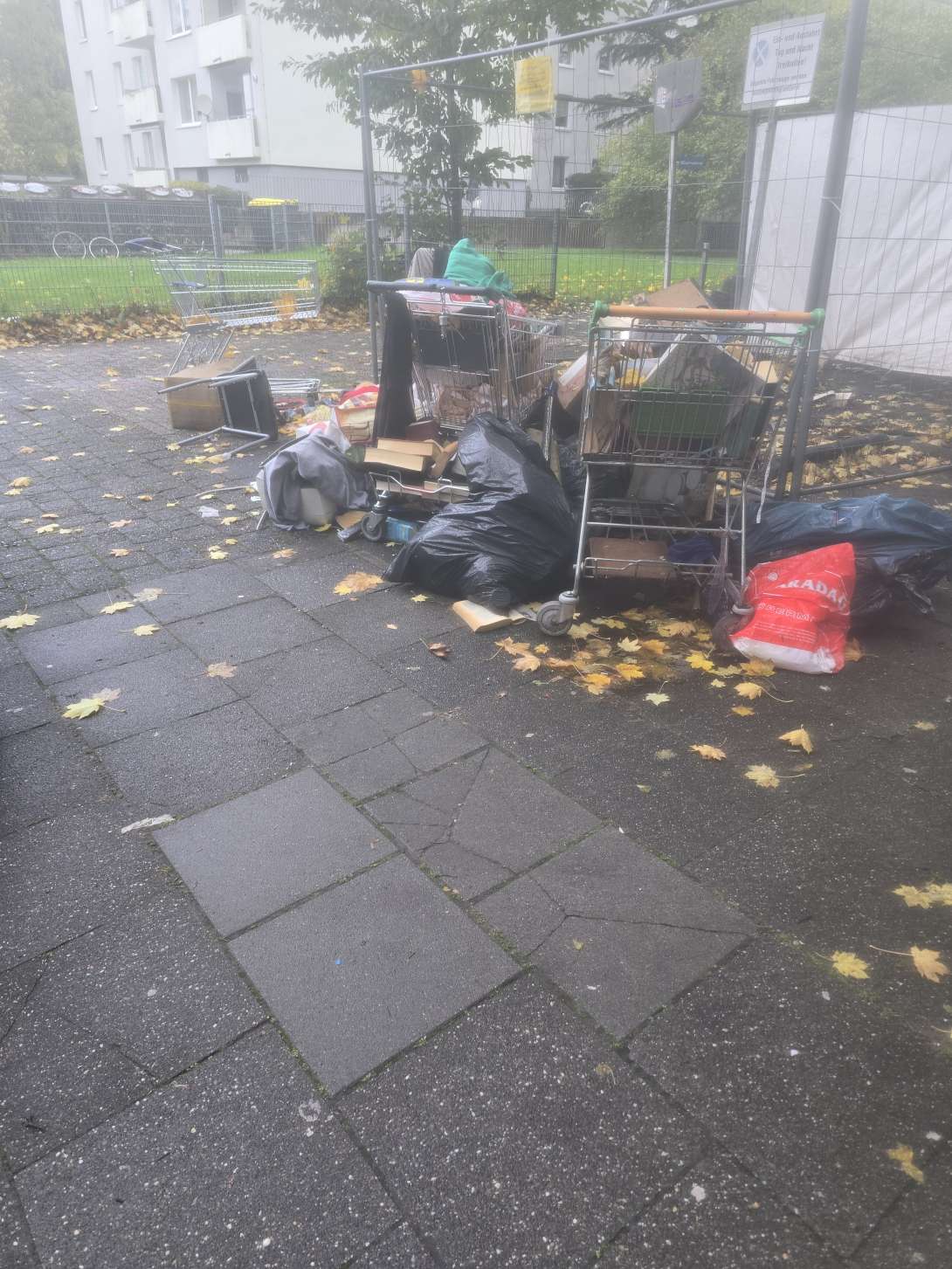 Bild zu gemeldetem Anliegen vom *2025-10-28 10:14:51