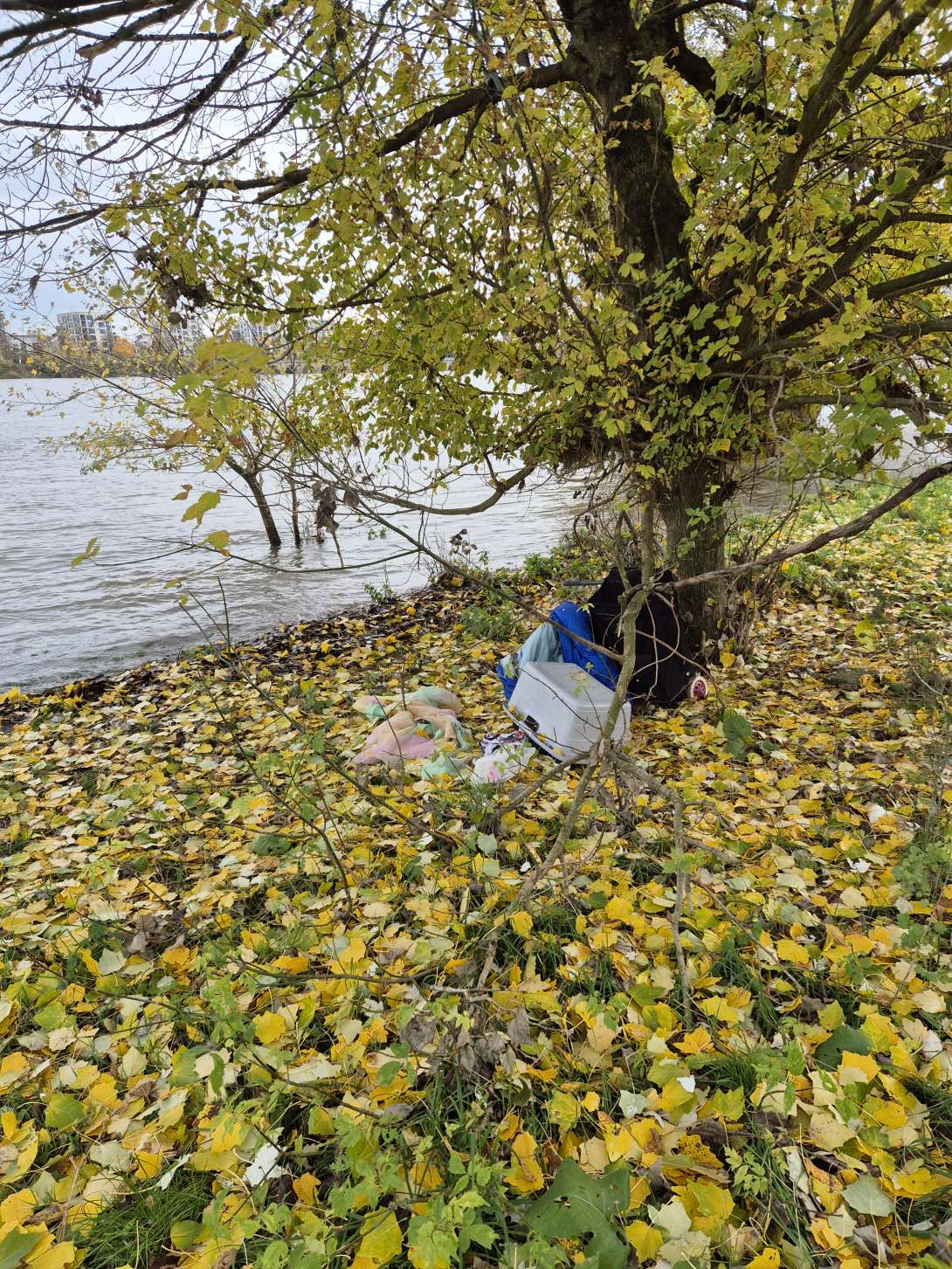 Bild zu gemeldetem Anliegen vom *2025-11-03 13:19:36