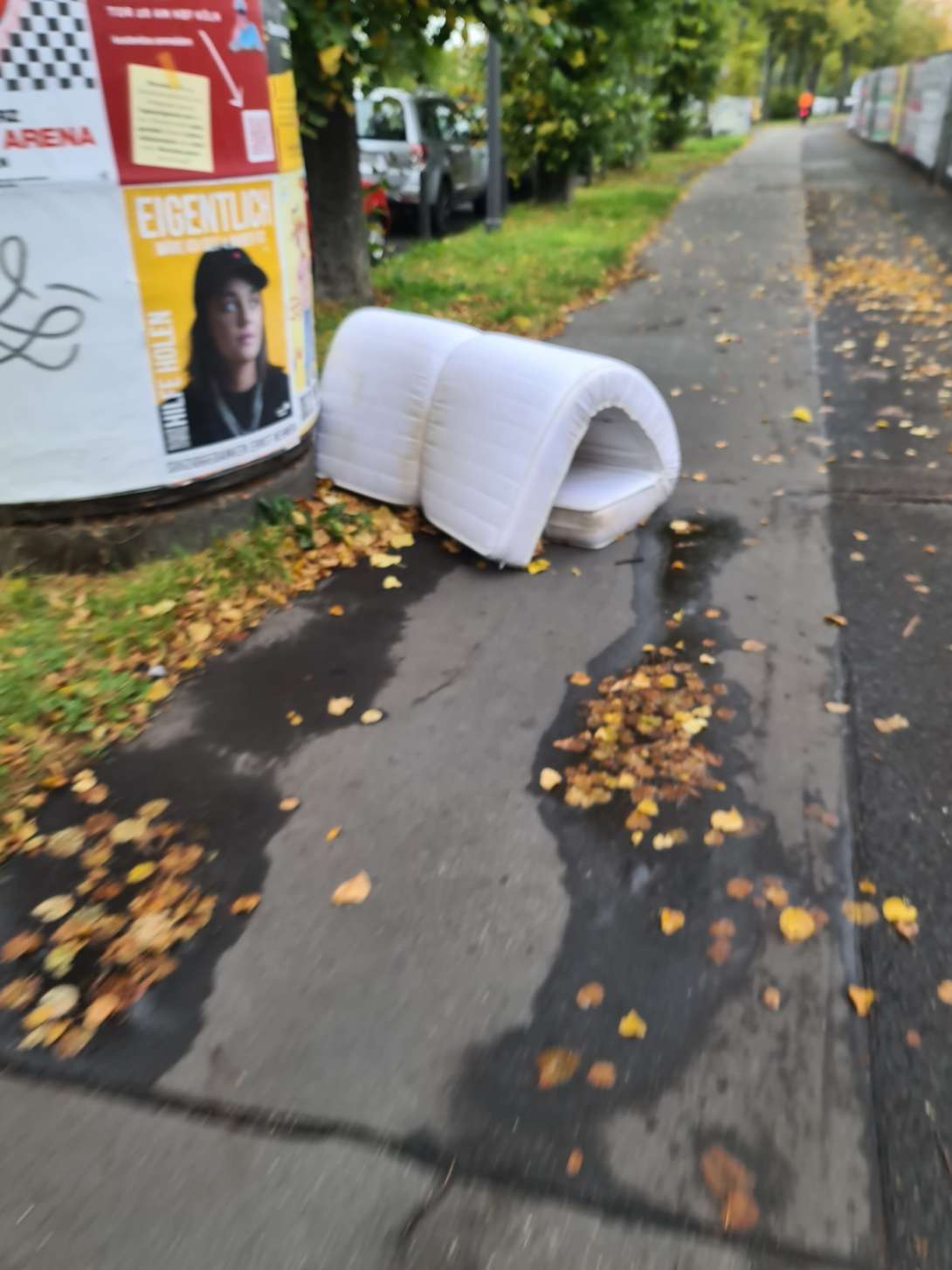 Bild zu gemeldetem Anliegen vom *2025-10-08 18:04:41