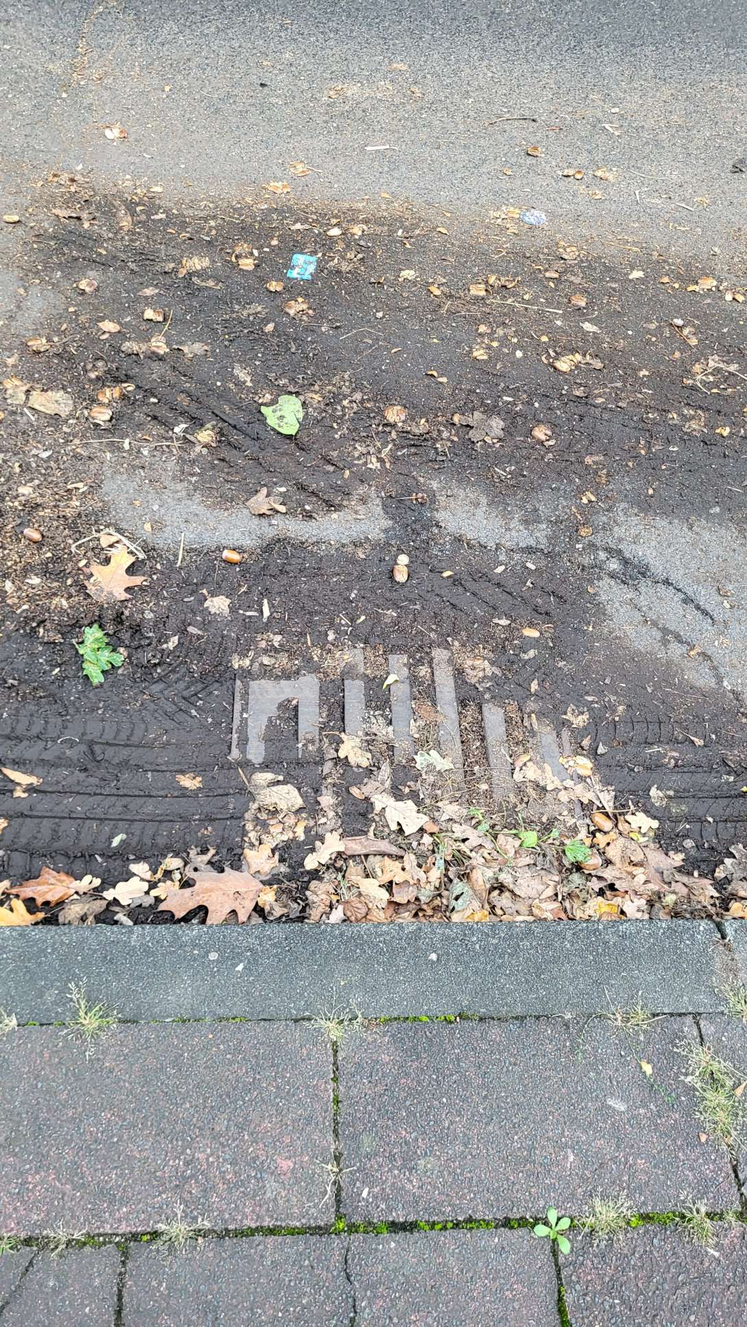 Bild zu gemeldetem Anliegen vom *2025-10-25 18:34:45