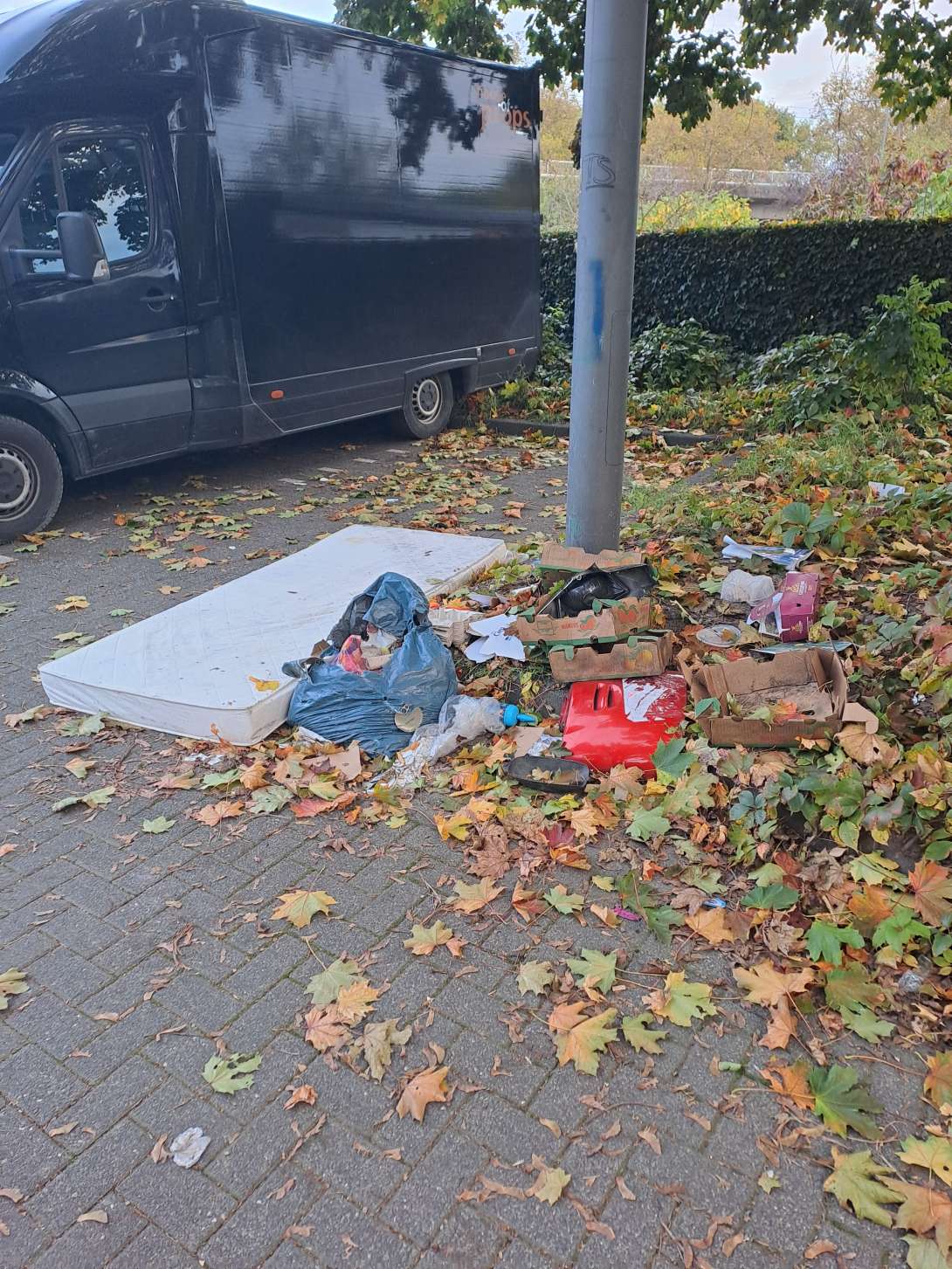 Bild zu gemeldetem Anliegen vom *2025-10-20 13:57:45