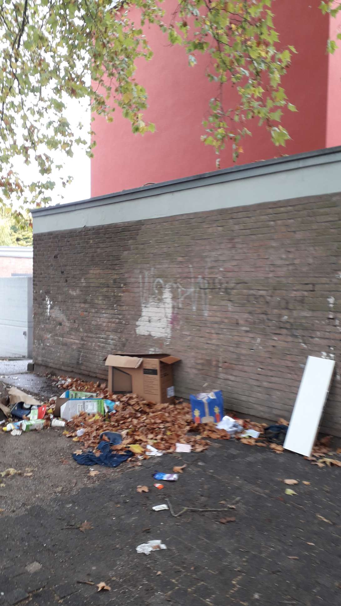 Bild zu gemeldetem Anliegen vom *2025-10-22 16:03:37