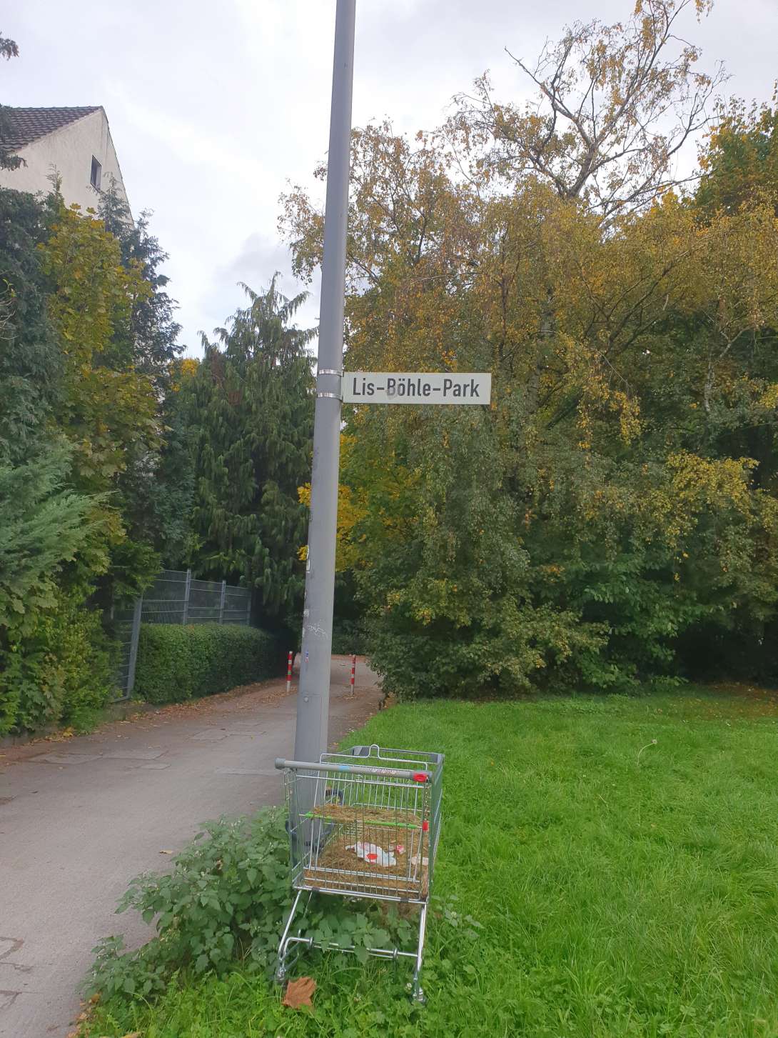 Bild zu gemeldetem Anliegen vom *2025-10-22 13:21:03