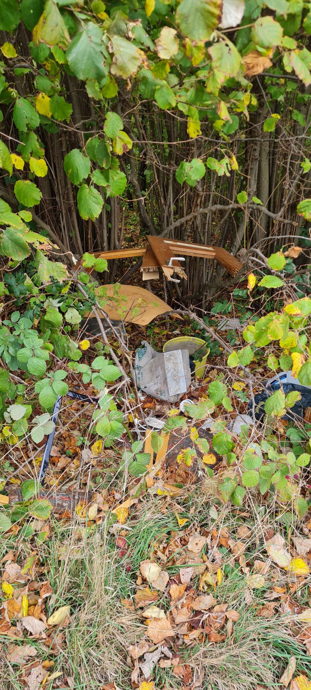 Bild zu gemeldetem Anliegen vom *2025-10-24 11:20:19