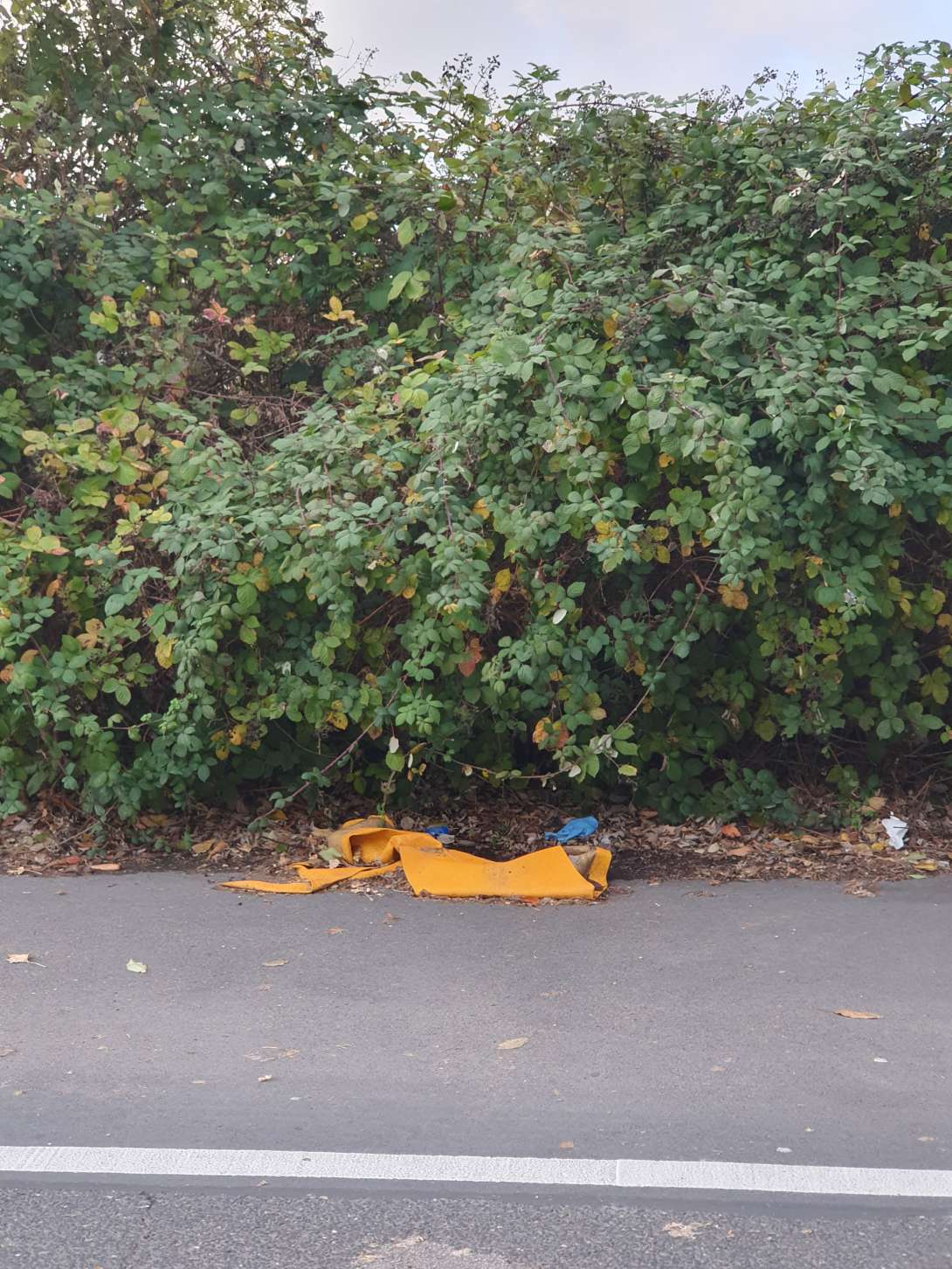 Bild zu gemeldetem Anliegen vom *2025-10-26 16:50:48