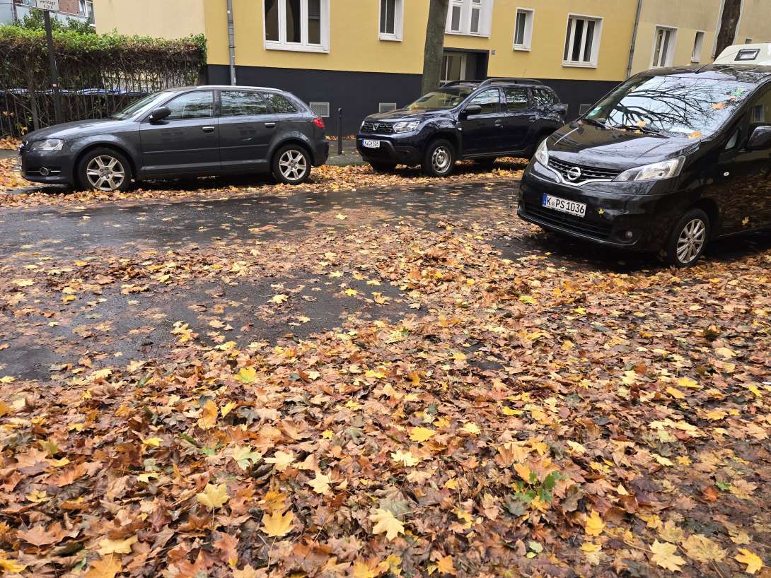 Bild zu gemeldetem Anliegen vom *2025-10-28 14:11:03