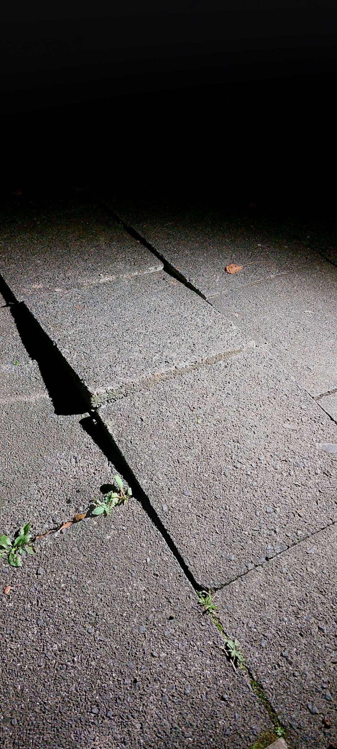 Bild zu gemeldetem Anliegen vom *2025-10-30 19:32:54