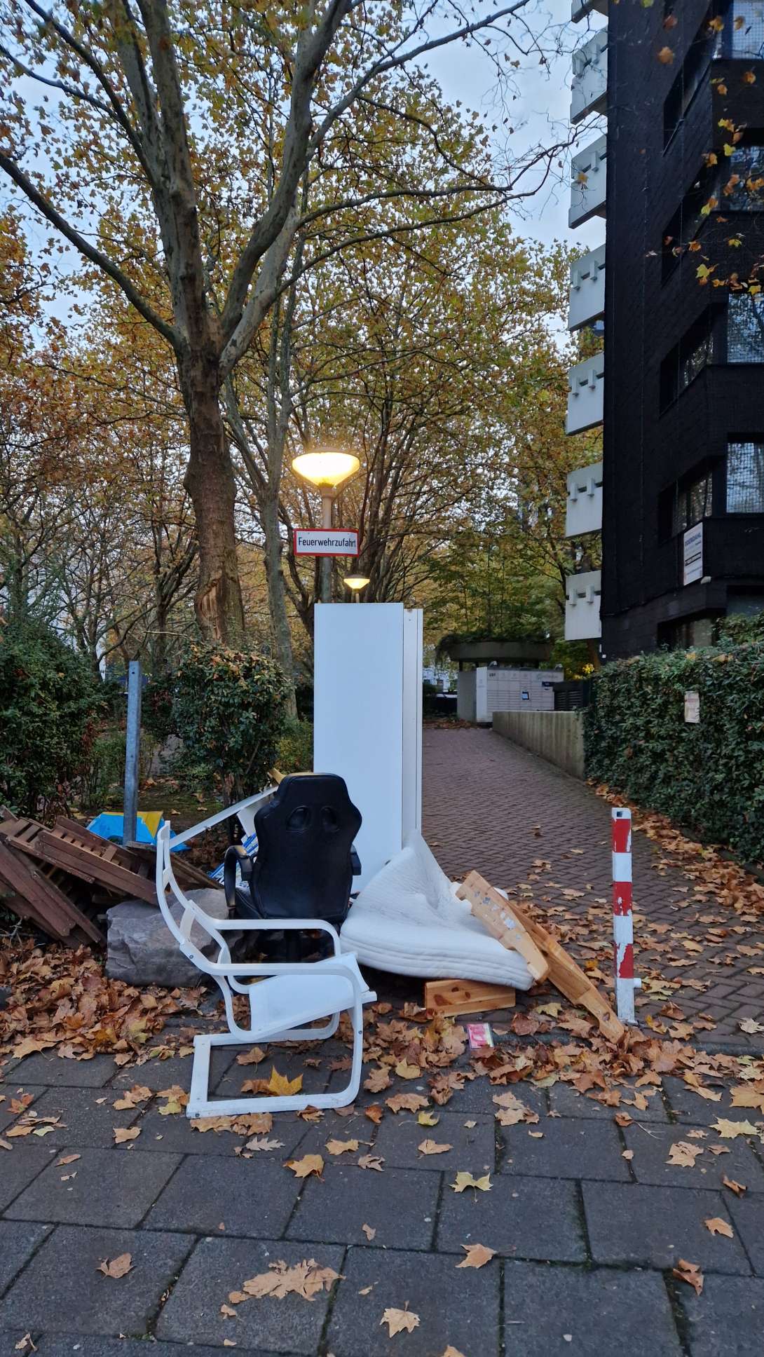 Bild zu gemeldetem Anliegen vom *2025-11-03 08:18:09