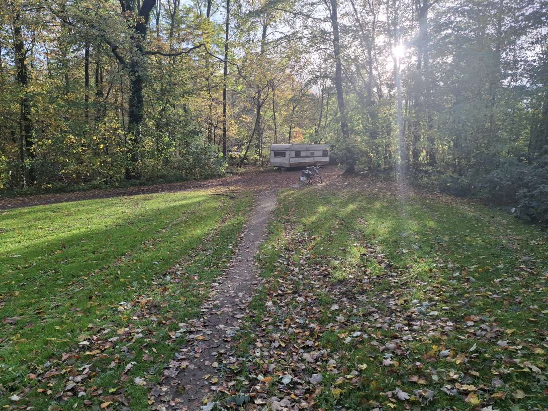 Bild zu gemeldetem Anliegen vom *2025-10-31 09:14:36