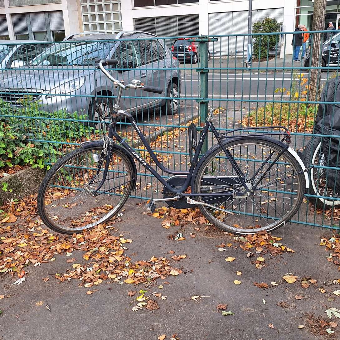 Bild zu gemeldetem Anliegen vom *2025-10-31 09:54:59