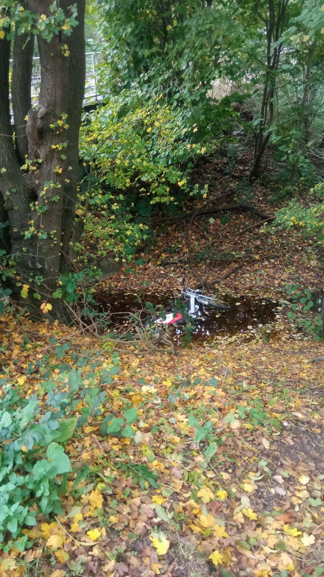 Bild zu gemeldetem Anliegen vom *2025-10-26 17:52:37