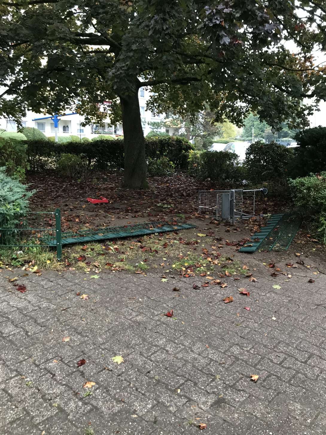 Bild zu gemeldetem Anliegen vom *2025-10-07 13:01:49