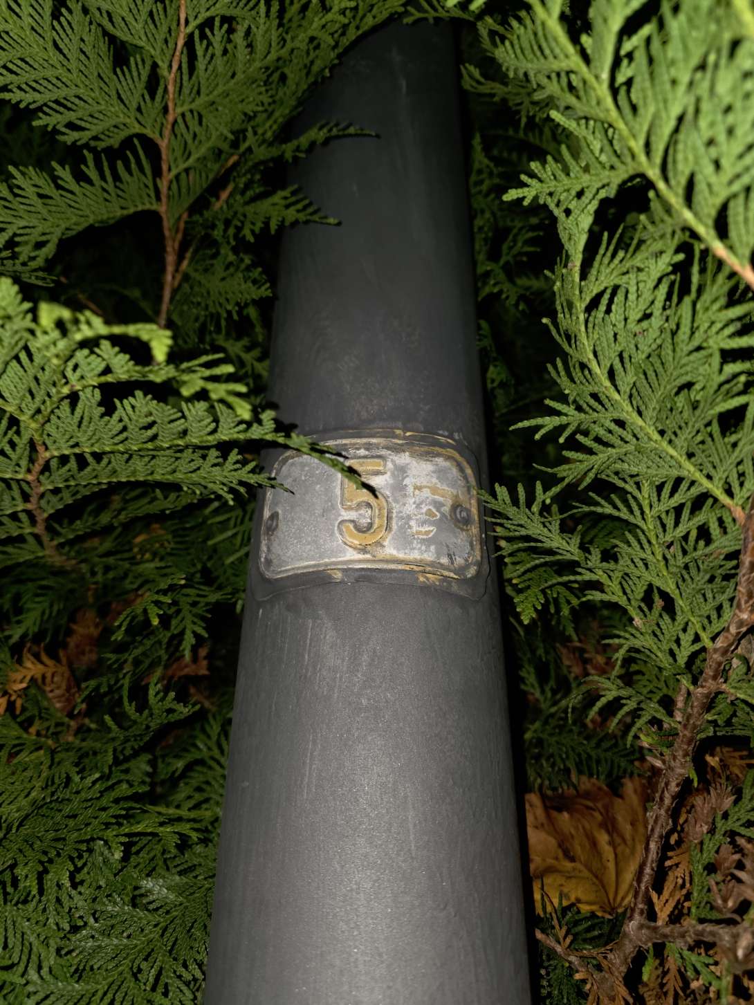 Bild zu gemeldetem Anliegen vom *2025-10-30 18:43:36