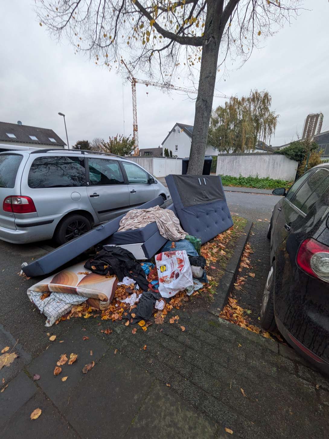 Bild zu gemeldetem Anliegen vom *2025-10-25 09:14:46