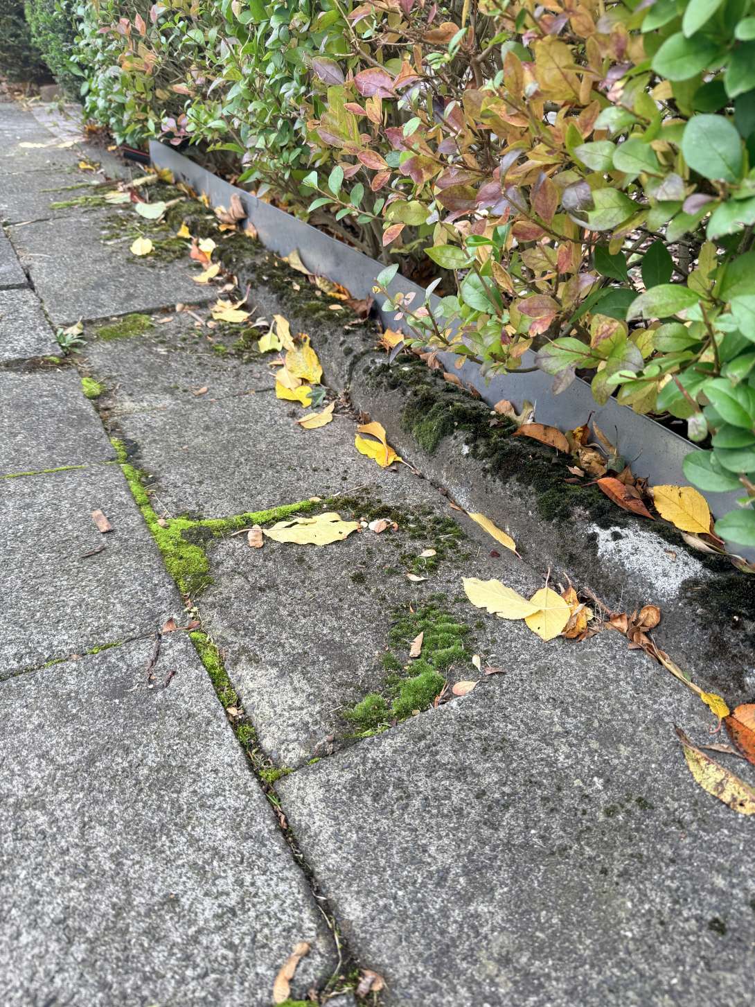 Bild zu gemeldetem Anliegen vom *2025-10-26 15:41:36