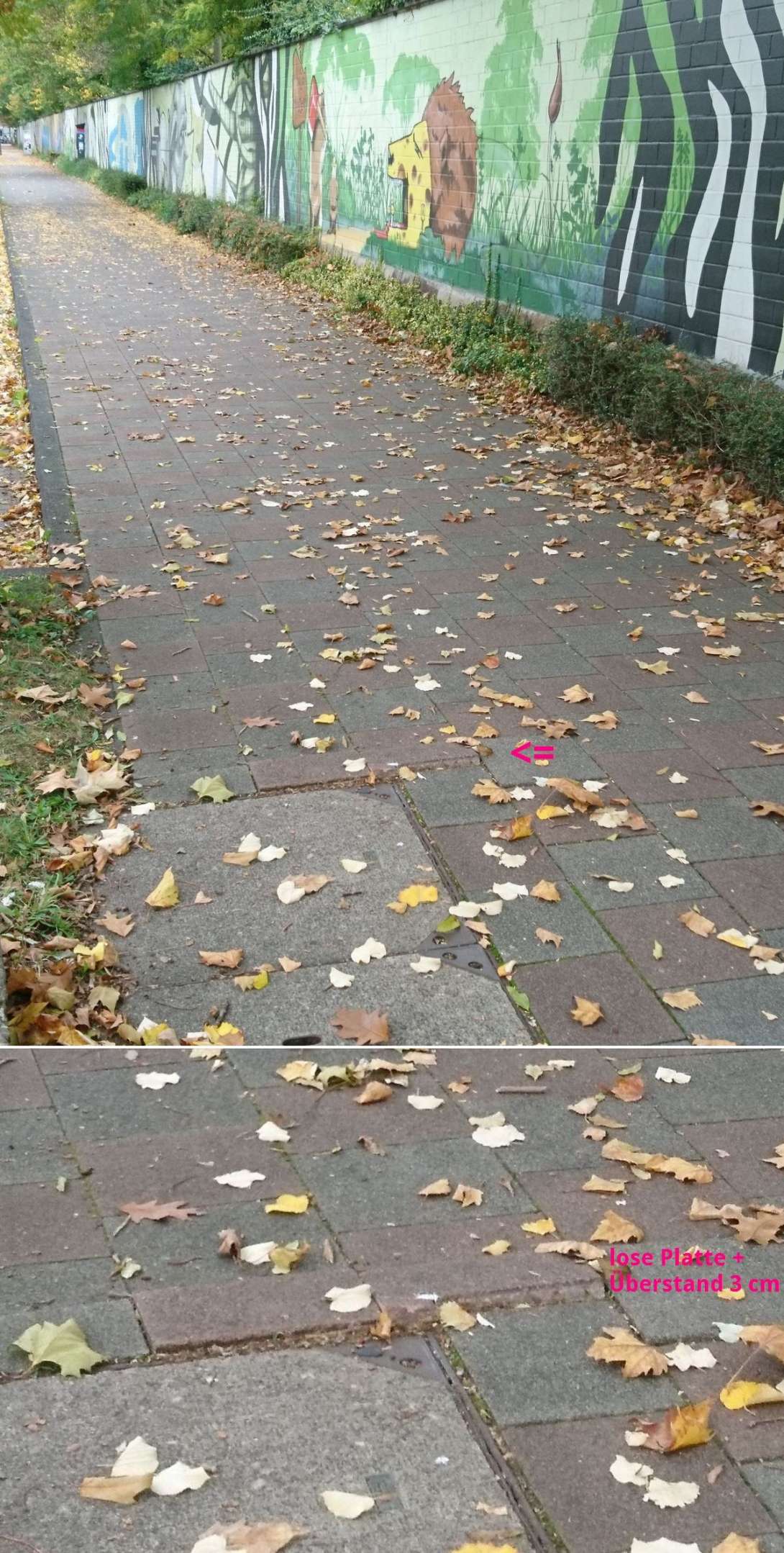 Bild zu gemeldetem Anliegen vom *2025-10-14 22:22:31
