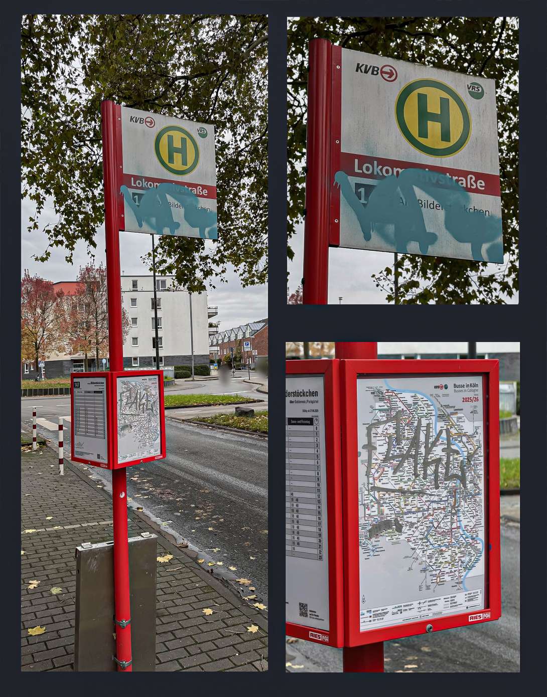 Bild zu gemeldetem Anliegen vom *2025-10-28 17:44:29