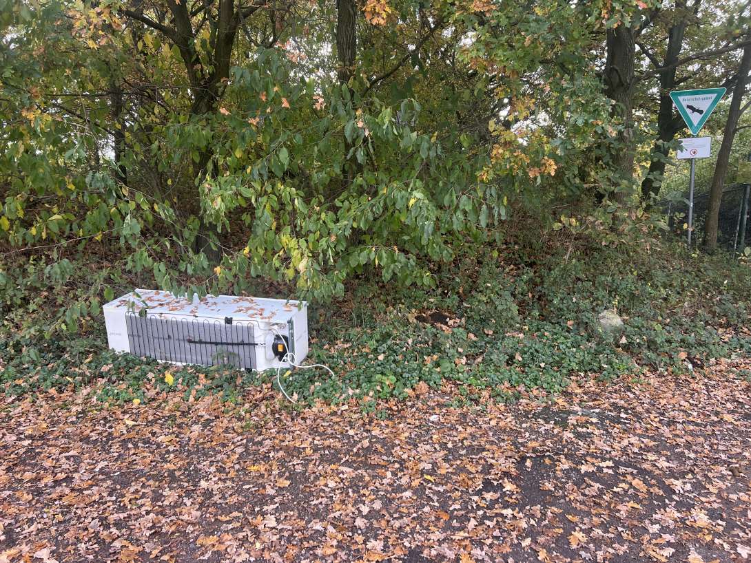 Bild zu gemeldetem Anliegen vom *2025-10-21 10:46:40