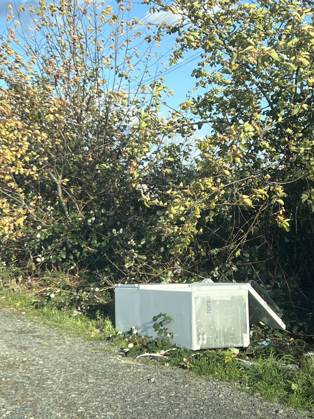 Bild zu gemeldetem Anliegen vom *2025-10-30 16:11:56