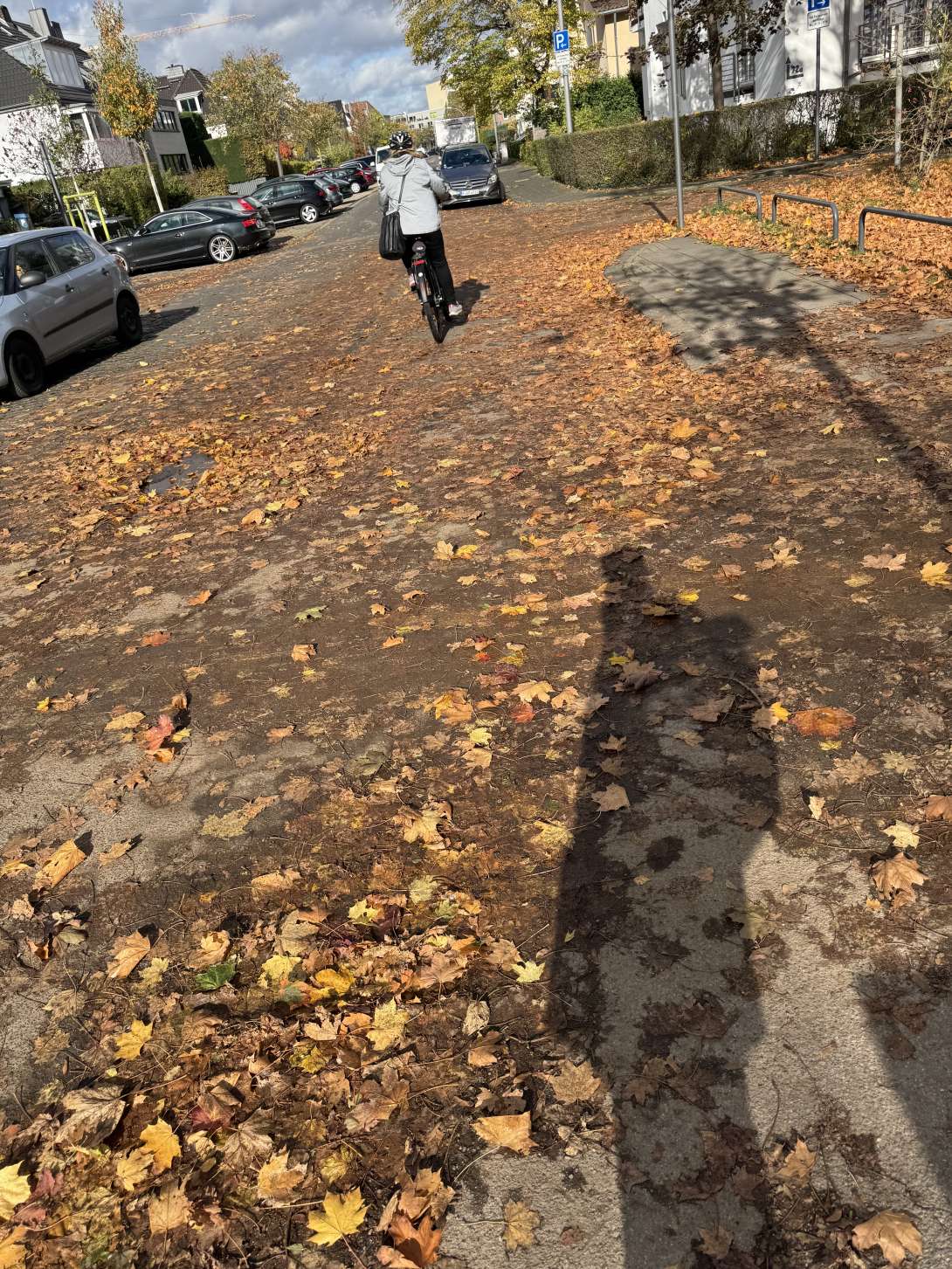 Bild zu gemeldetem Anliegen vom *2025-10-24 13:58:15