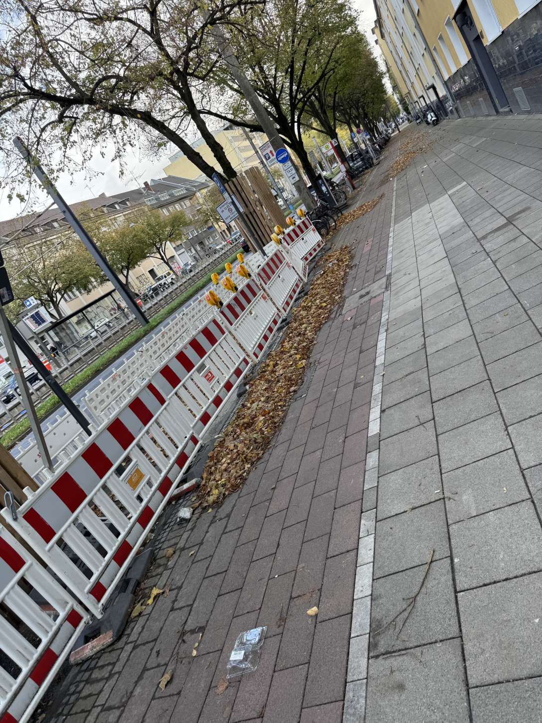 Bild zu gemeldetem Anliegen vom *2025-10-26 13:46:44