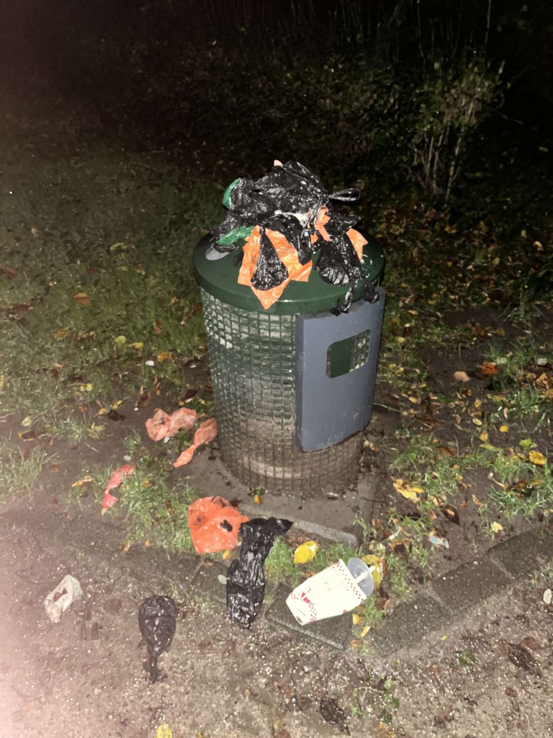 Bild zu gemeldetem Anliegen vom *2025-10-28 08:57:24