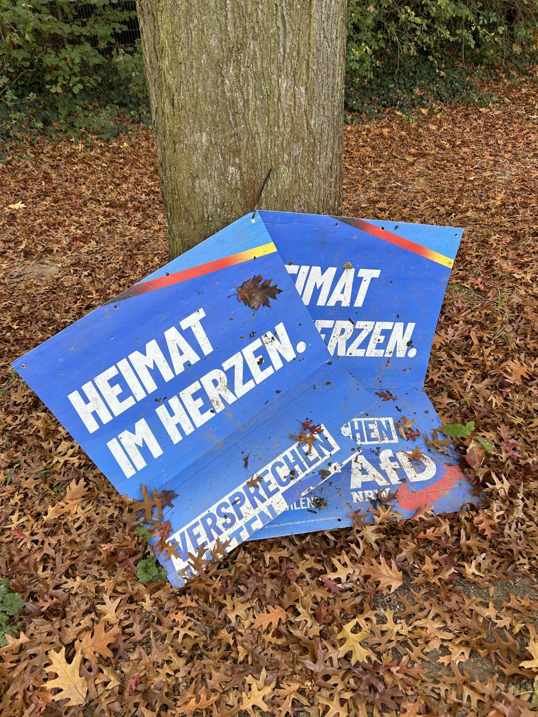 Bild zu gemeldetem Anliegen vom *2025-10-18 09:28:23