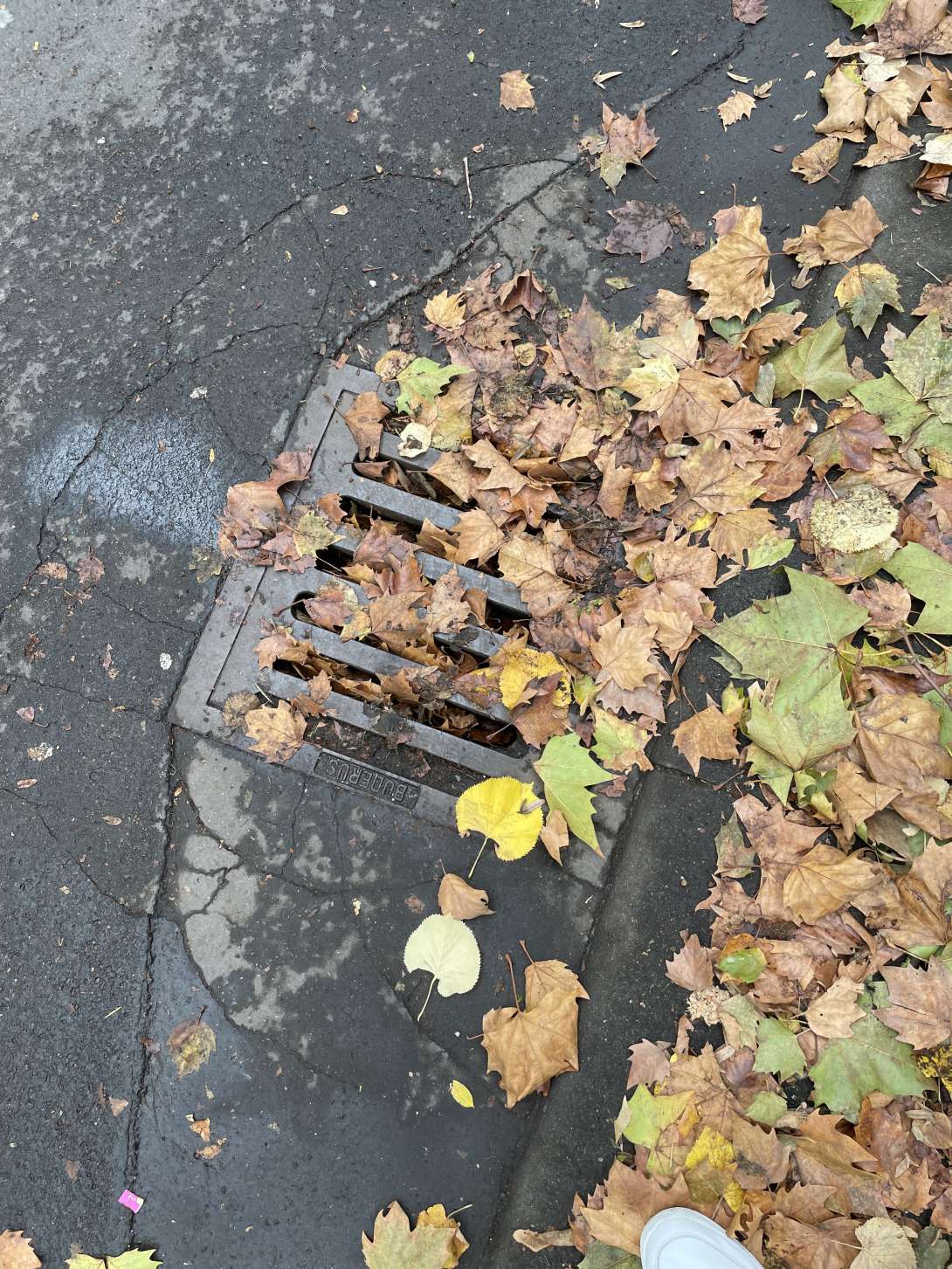 Bild zu gemeldetem Anliegen vom *2025-10-20 15:02:09