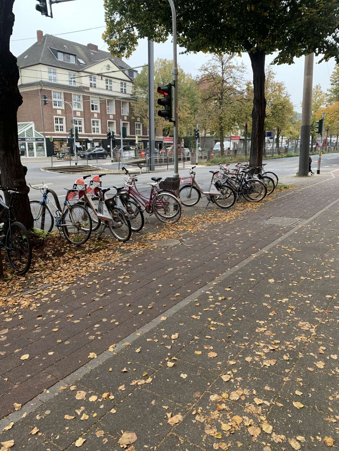 Bild zu gemeldetem Anliegen vom *2025-10-11 11:27:26