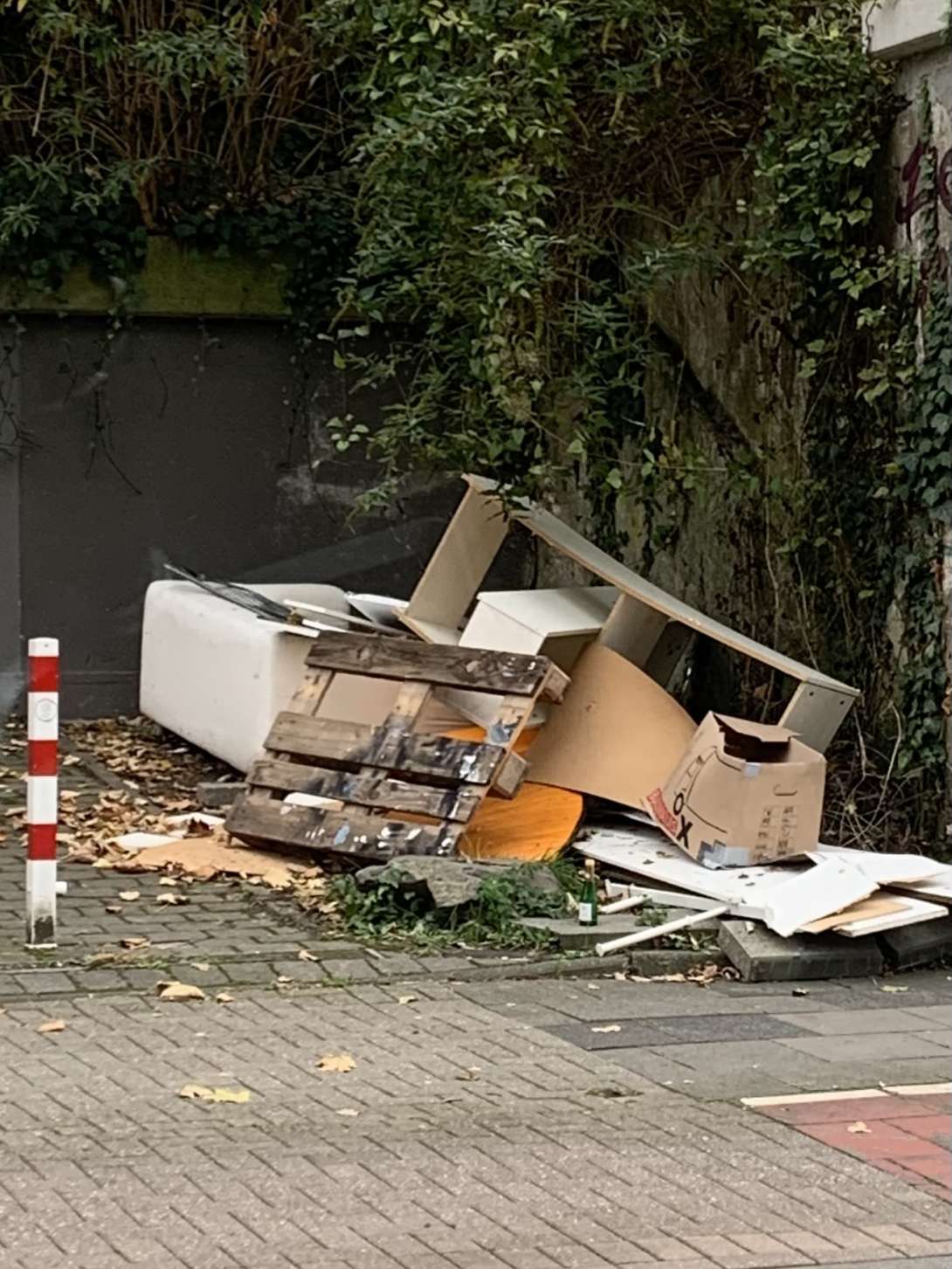 Bild zu gemeldetem Anliegen vom *2025-11-03 09:33:55