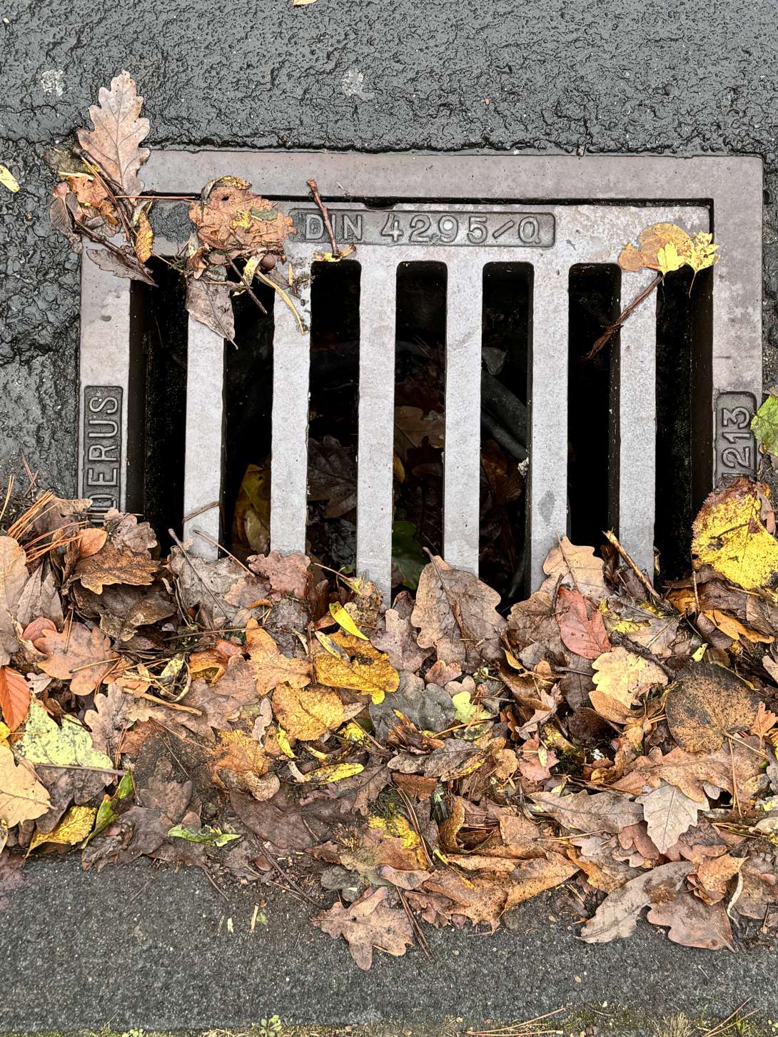 Bild zu gemeldetem Anliegen vom *2025-10-31 06:18:41