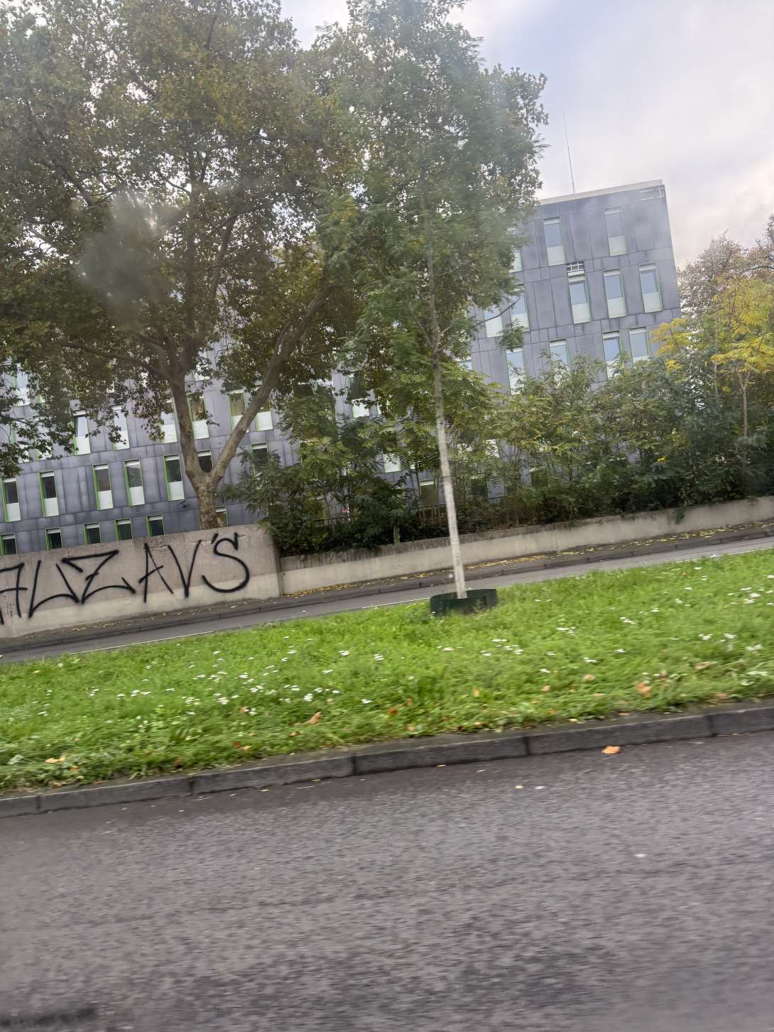 Bild zu gemeldetem Anliegen vom *2025-10-17 17:56:14