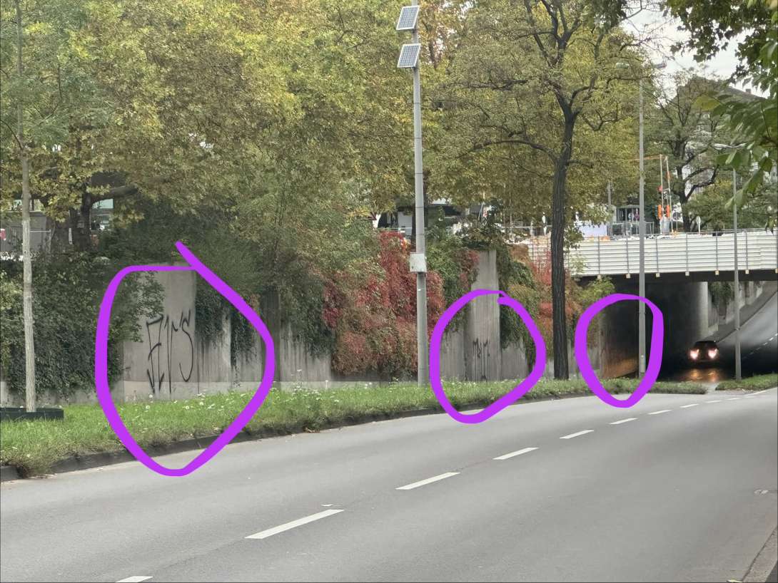 Bild zu gemeldetem Anliegen vom *2025-10-17 17:58:24