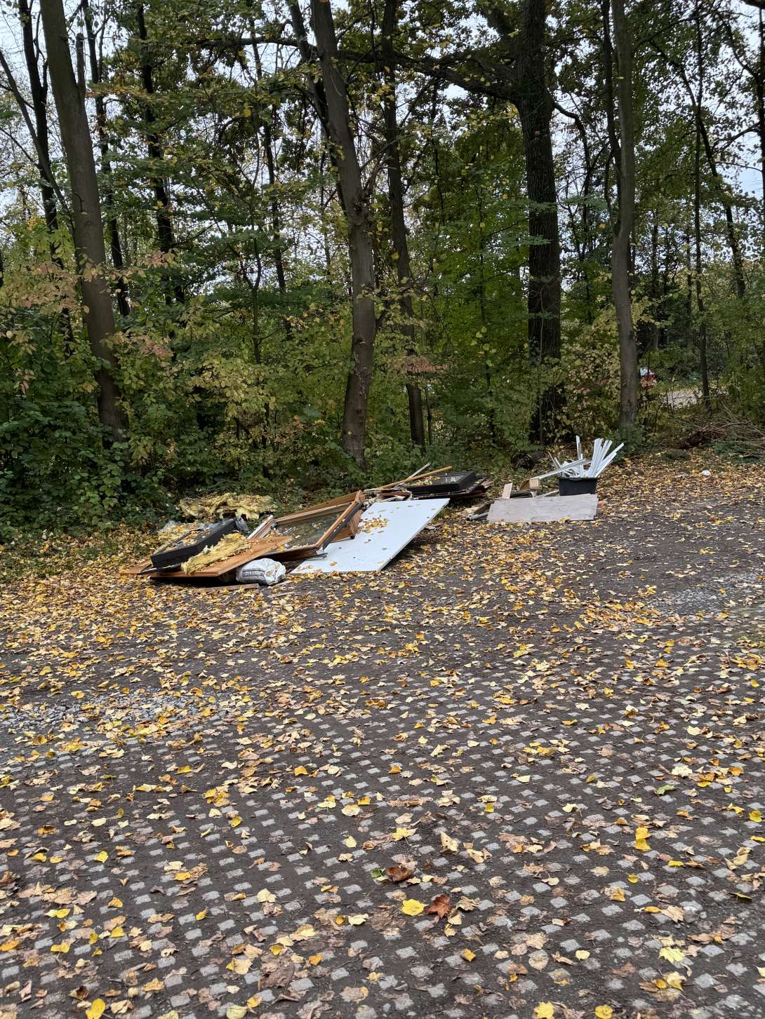 Bild zu gemeldetem Anliegen vom *2025-10-20 13:31:30