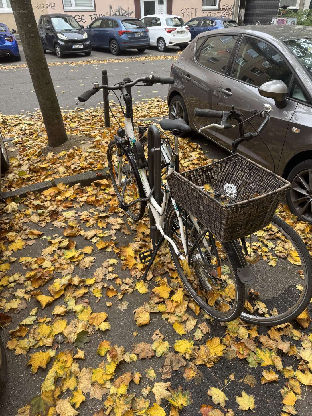 Bild zu gemeldetem Anliegen vom *2025-10-19 11:00:37