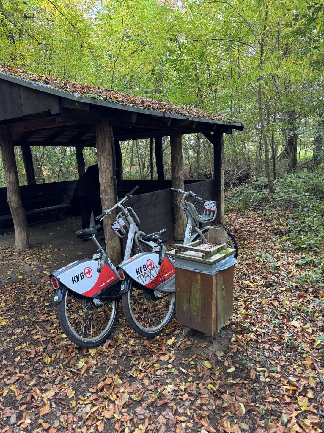 Bild zu gemeldetem Anliegen vom *2025-10-22 12:27:53