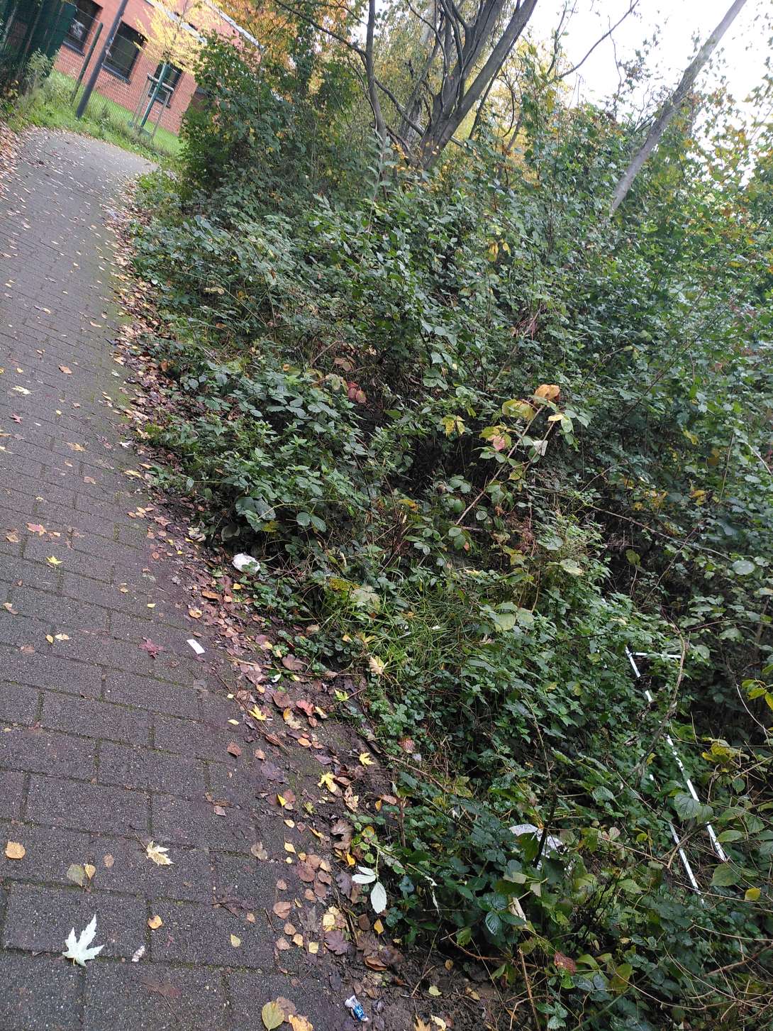Bild zu gemeldetem Anliegen vom *2025-10-13 16:52:22
