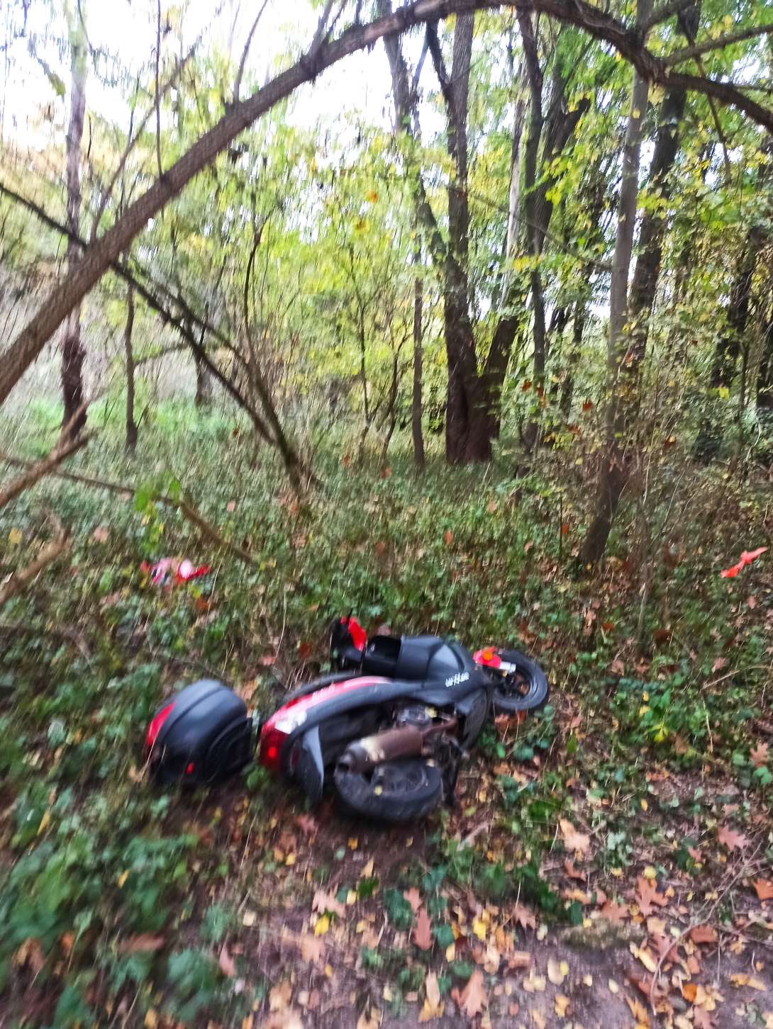 Bild zu gemeldetem Anliegen vom *2025-10-19 10:44:44